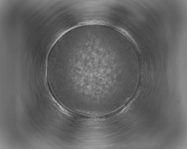 X0000053131228200507251741