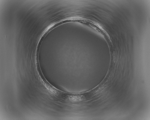 X0000053131229200507251741