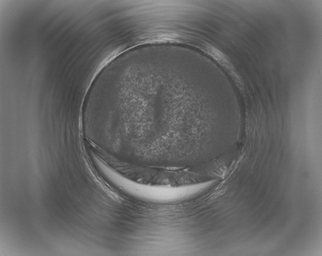 X0000053131234200507251741