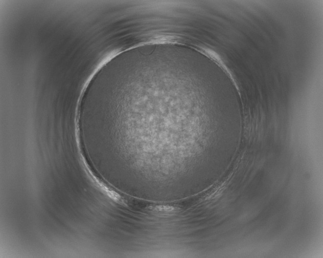 X0000053131235200507251741