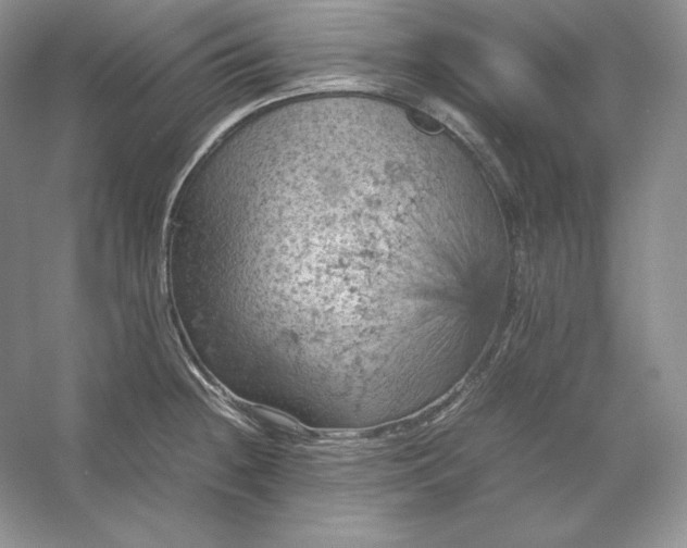 X0000053131236200507251741