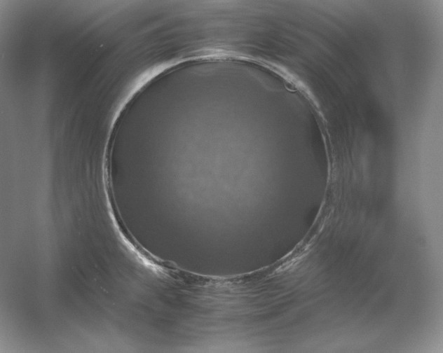 X0000053131239200507251741