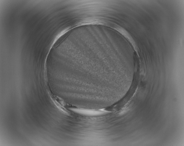 X0000053131242200507251741