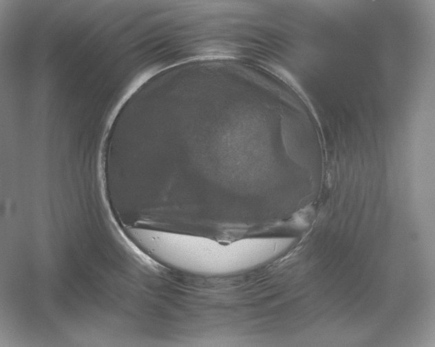 X0000053131243200507251741