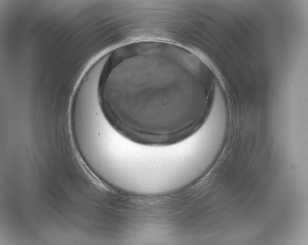 X0000053131246200507251741