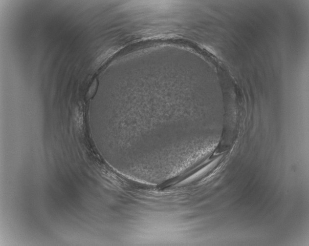 X0000053131257200507251740