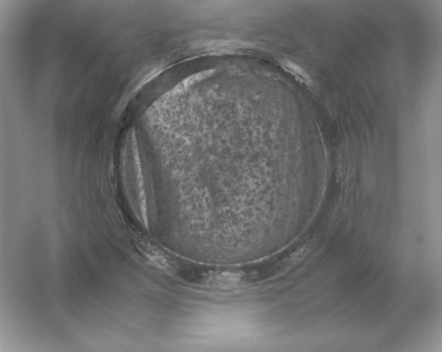 X0000053131261200507251740