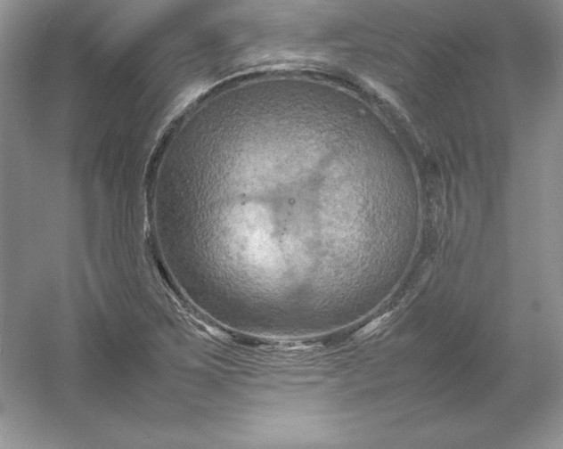 X0000053131267200507251740