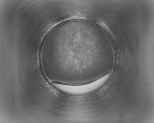 X0000053131268200507251740