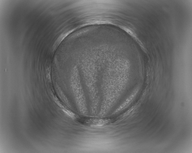X0000053131273200507251740