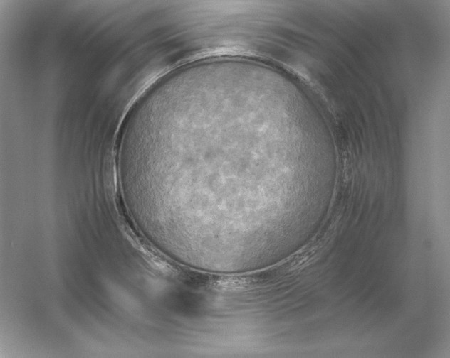 X0000053131274200507251740