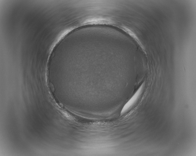 X0000053131277200507251740