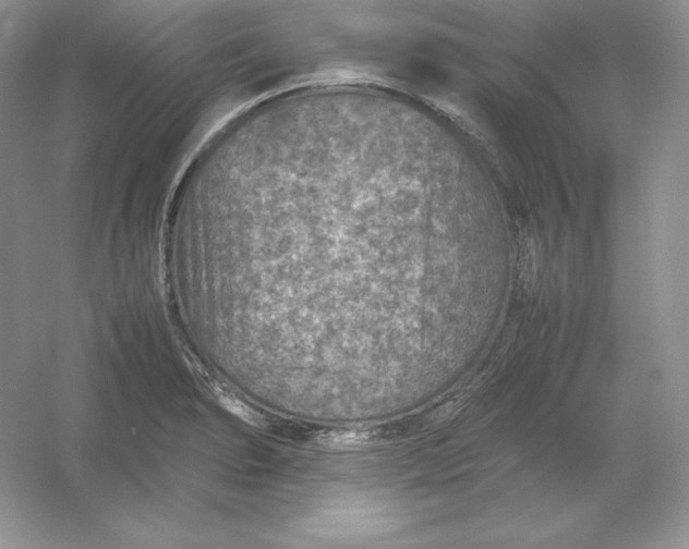 X0000053131278200507251740