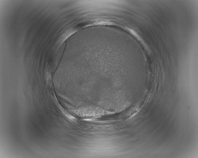 X0000053131281200507251740