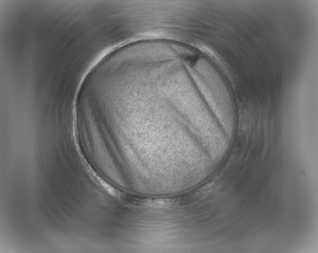 X0000053131286200507251739