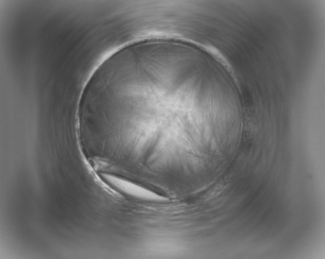 X0000053131287200507251739