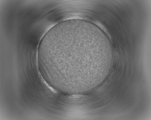 X0000053131290200507251739