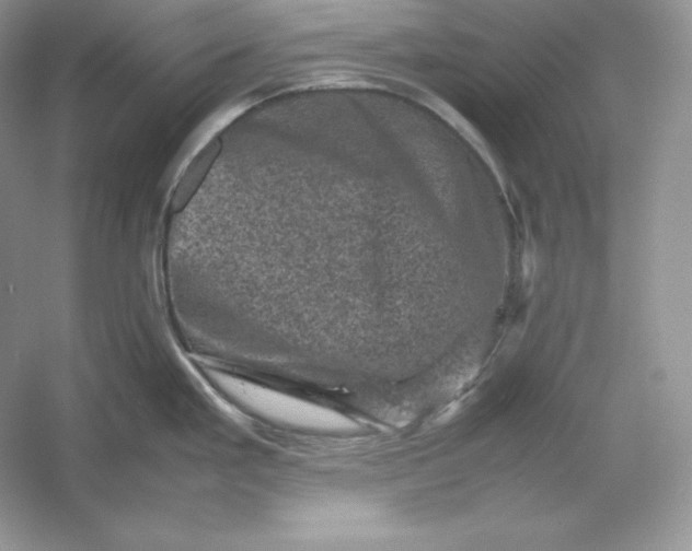 X0000053131293200507251739