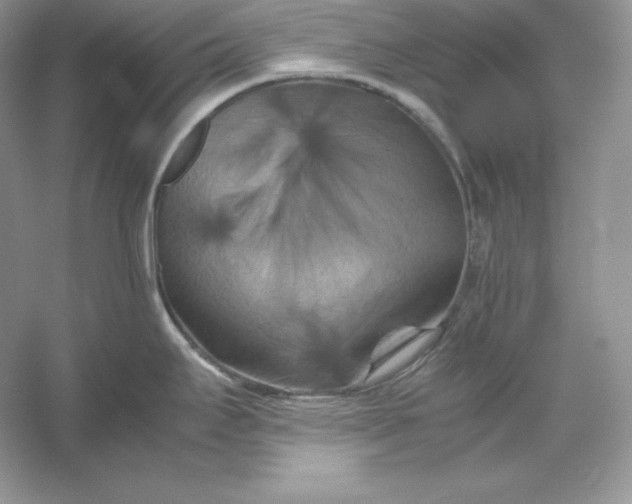 X0000053131295200507251739