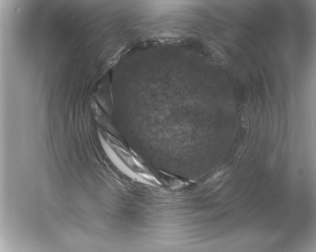 X0000053131298200507251739