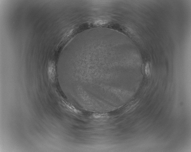 X0000053131299200507251739