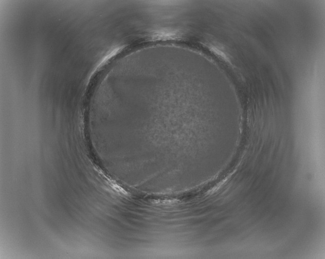 X0000053131309200507251739