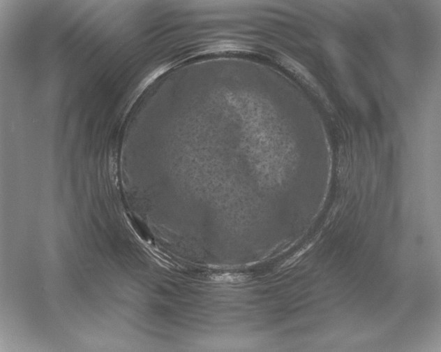 X0000053131321200507251739