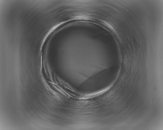 X0000053131323200507251739