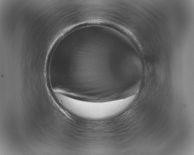 X0000053131327200507251739