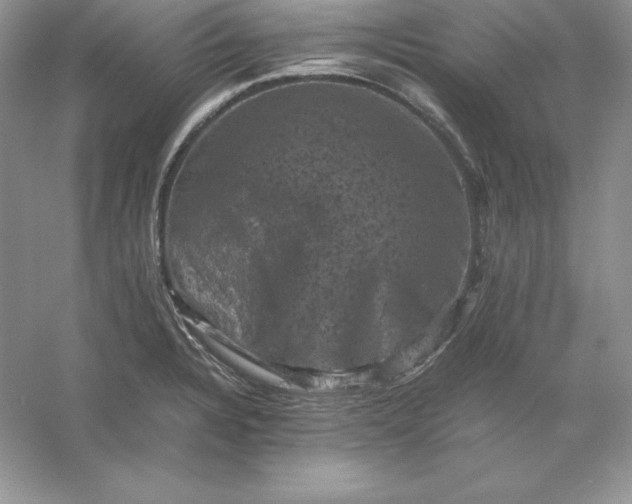 X0000053131328200507251739