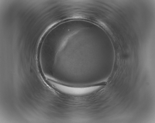 X0000053131331200507251739
