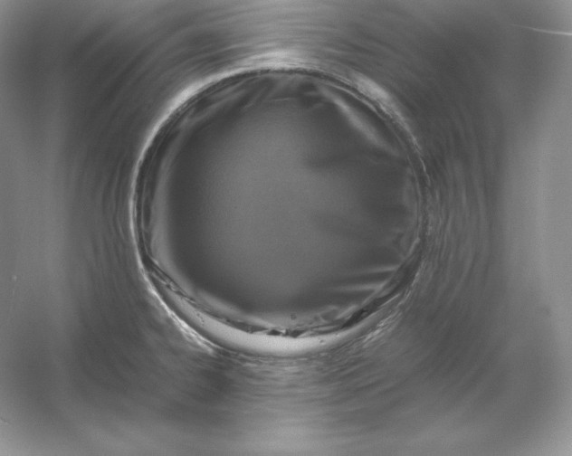 X0000053131334200507251739