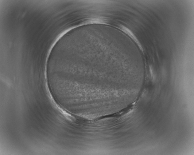 X0000053131339200507251739