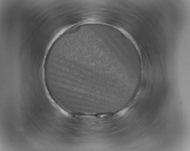 X0000053131341200507251739