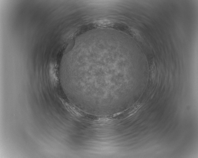 X0000053131346200507251738