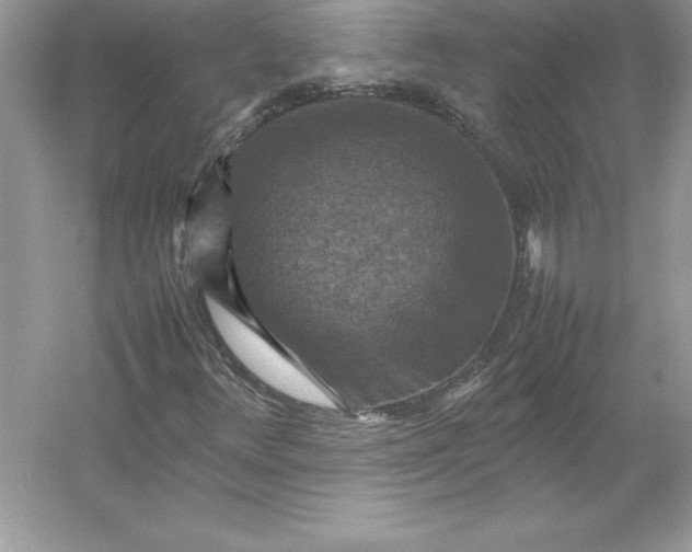 X0000053131348200507251738