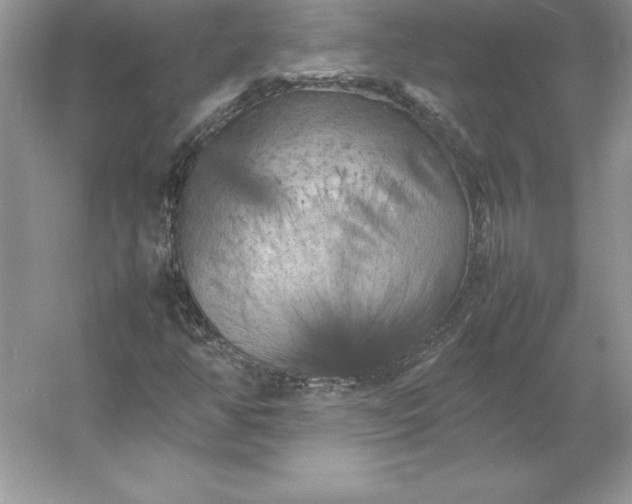 X0000053131350200507251738