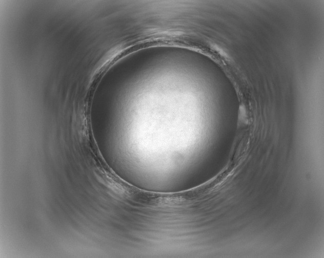 X0000053131354200507251738