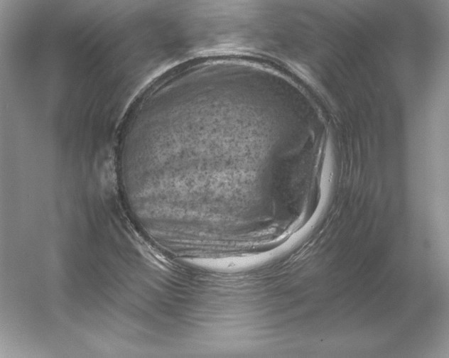 X0000053131356200507251738