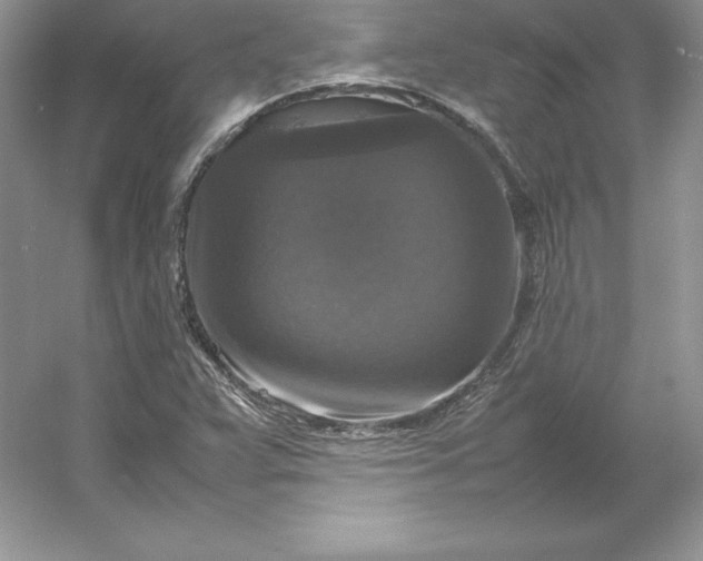 X0000053131359200507251738