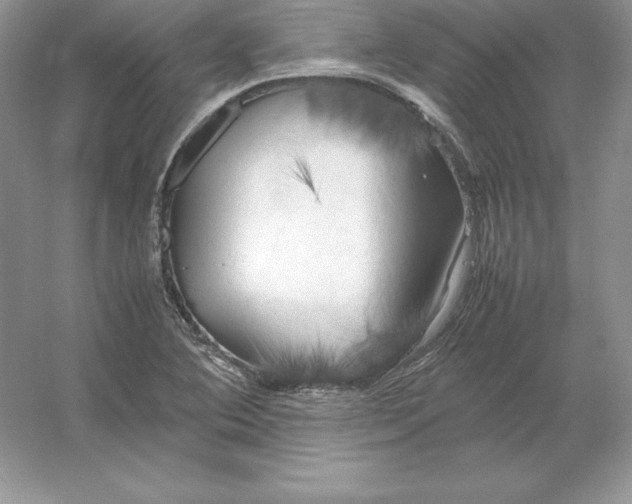 X0000053131364200507251738