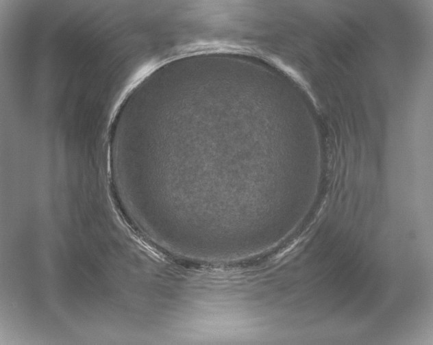 X0000053131365200507251738