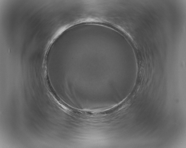X0000053131367200507251738