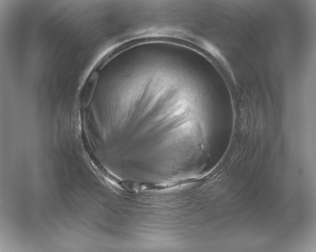 X0000053131368200507251738