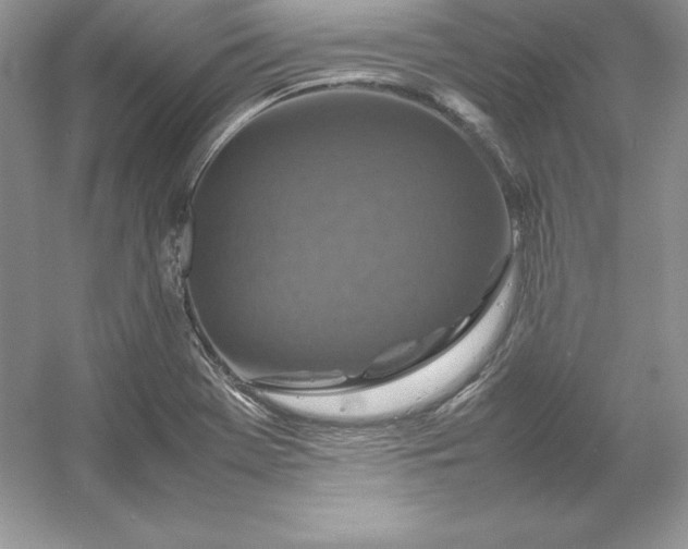 X0000053131369200507251738