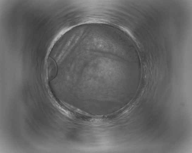 X0000053131371200507251738