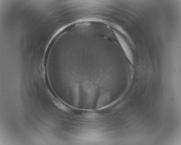 X0000053131372200507251738