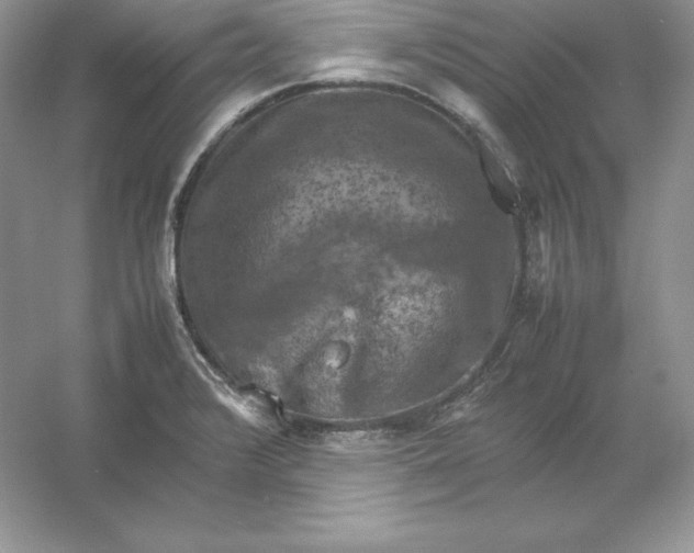 X0000053131376200507251738