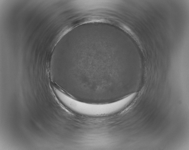X0000053131377200507251738