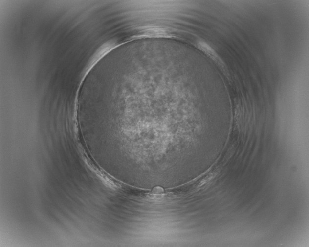 X0000053131378200507251738